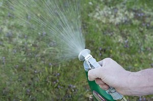 10 Best Clover Killers of 2026 - Reviews & Top Picks | Home Grail