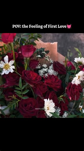 Udaariaan Song Status 💓✨| Satinder Sartaaj #satindersartaaj #udaariyaan #love #shortsfeed #ytshorts