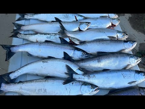 The Kokanee Mistake I Didn't Think was a Problem