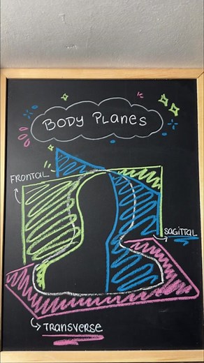 Let’s talk about Directional Terms & Body Planes #studytok #anatomy #medschool #physicaltherapy #nursing #notes