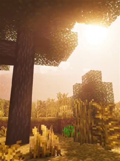 Plaidinus: O Servidor Ambicioso para a Comunidade Bedrock