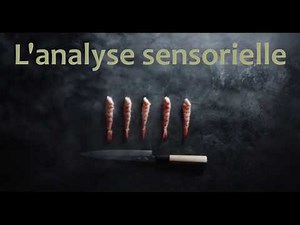 2BP Cours L'analyse sensorielle Correction