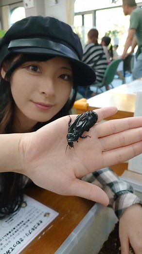 ゴキブリを触ってみた♡ #ゴキブリ #触ってみた I touched a cockroach.