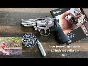 How to use dan wesson 2.5 inch co2 pellet air gun
