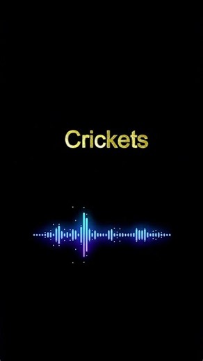 Crickets Sound Effect HD | Realistic Night Ambience Audio FX #soundeffects ‪@totalsoundeffect‬