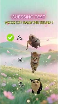 Cat Memes 🐱 Which Cat Made This Sound? #catmemes #catmeme