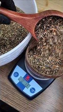 Natural Migraine Relief Explained | Willow Bark, Turmeric & Herbal Pain Support