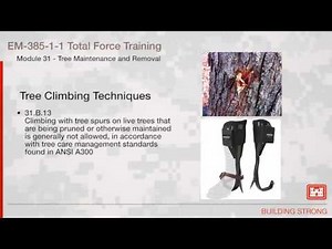 NAVFAC Safety Training Module 31: Tree Maintenance and Removal
