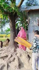 এখন গরিব বাপের ঘরে লাখ টাকা খাট ফিট করবো #shortvideo ajmira Bithi