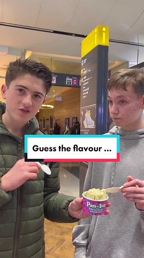 Guess the Flavour Ice Cream Challenge