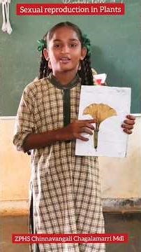 Sexual reproduction/Plants/ZPHS/Chinnavangali