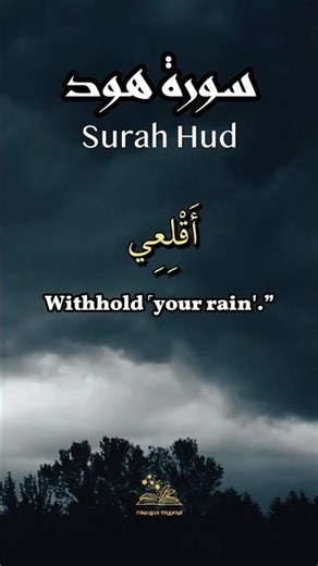 How the Flood Ended in One Divine Command ☪️ #quran #tilawah #shorts