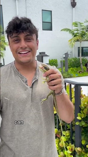 How to catch a lizard! (IT BIT ME!)