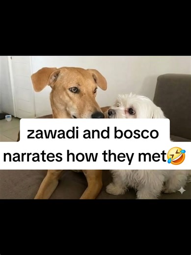 Zawadi and Bosco: The Story of Their Heartfelt Meeting