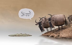 《鸟盒系列搞笑动画合集》——猜不到结局的脑洞小动画！