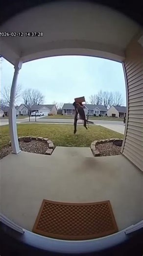 DOG knocks over PACKAGE THEIF and saves the day!!