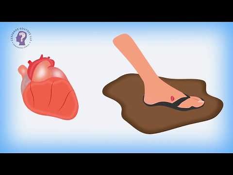 Connective Tissue: Learn the Basics