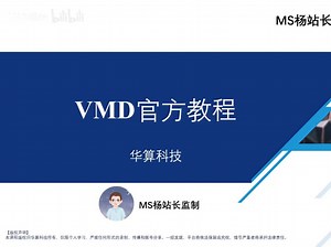 【VMD官方教程】VMD高分辨率渲染 必备分子动力学轨迹可视化软件 分子动力学计算 |华算科技-MS杨站长