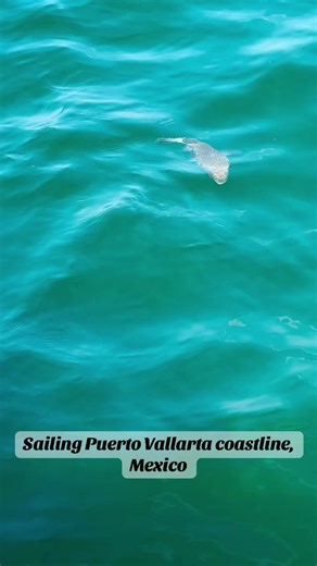 Sailing Puerto Vallarta coastline, Mexico With Princess Cruise , I booked sailing tour at Puerto Vallarta. Here are highlights: *Discover the beautiful waters of Puerto Vallarta and subtropical Banderas Bay. Spot dolphins , humpback whales and beautiful tropical fish. *Mexican crew members offer very authentic and fresh Mexican food and beverages. (Tequila, Margaritas, pina colada’s) *Swim and snorkel in balmy Banderas Bay. *Take in picturesque skyline views of entire town. *Sailing through Parq