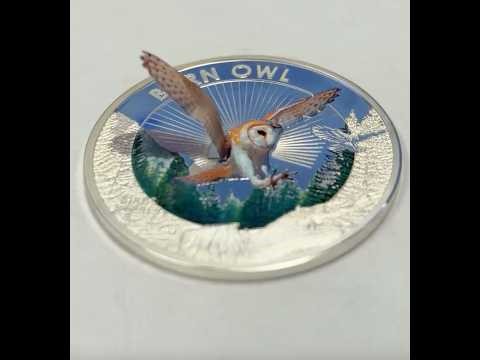 Photos don't do the Barn Owl justice ...