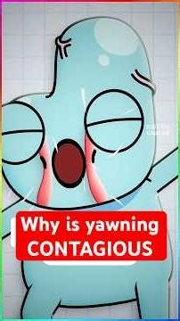 Why is yawning CONTAGIOUS??