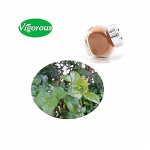 [Hot Item] ISO Certified Traumatic Bark Extract Powder Acanthopanax Trifoliatus Extract Powder