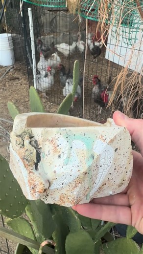 Toma on Instagram: "“Heretics are the only bitter remedy against the entropy of human thought.” Yevgeny Zamyatin"