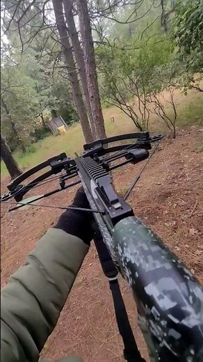 Stryker Strykezone Crossbow POV