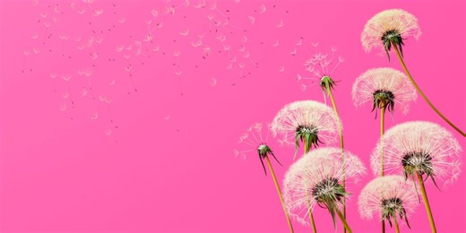 Ten lessons I’ve learned while grieving for my son