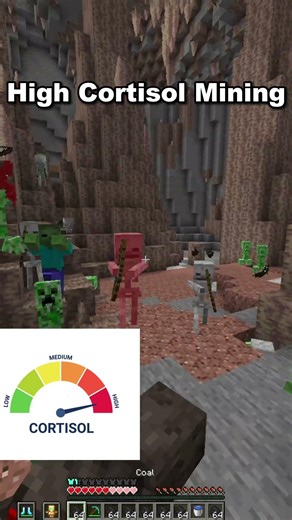 Low Cortisol Mining 👍😴 #minecraft