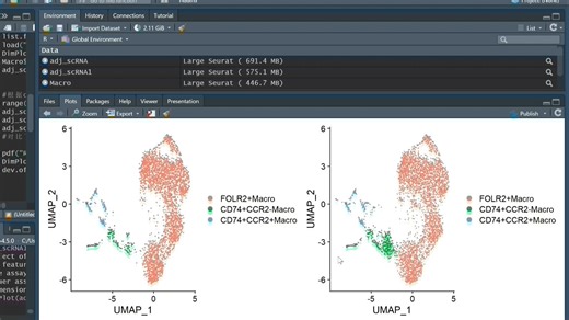 DecontX去除单细胞背景RNA污染
