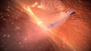 8.3K views · 85 reactions | During your pregnancy your uterus grows and undergoes several changes. The size of your uterus is monitored during pregnancy. During labour, your uterus contracts regularly to open your cervix and help your baby move down into the birth canal. #Pregnancy #Baby #Birth #Mom #Childbirth | Pregnant Life | Facebook