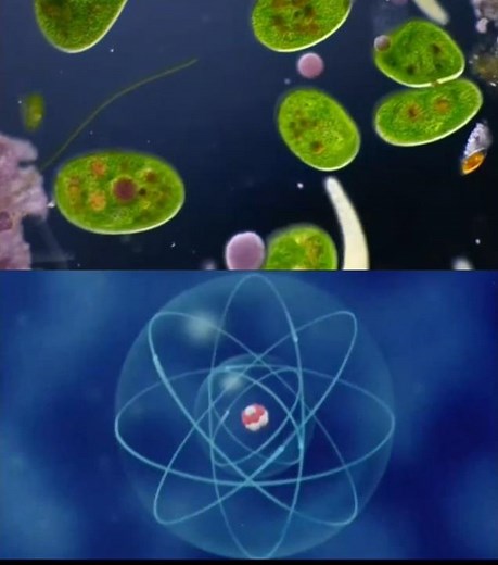 PHOTONS in light Microscopes and ELECTRONS in electron microscopes