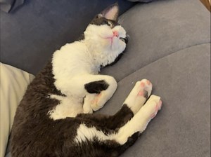 【Mio的游戏杂谈】2025年7月更新前瞻