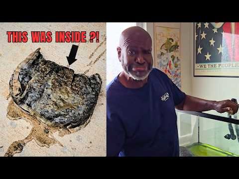 Surfing Turtles | Aqua-Man: Day in the Life – Episode 5