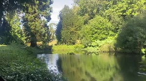 14K views · 434 reactions | TAYFIELD ESTATE in Newport on Tay is a stunning place for an afternoon stroll . Duck ponds, a Victorian Beehouse ( one of only five in Scotland) , A hidden Victorian curling rink and can you find the remains of a huge viaduct hidden in the woods and once part of the old Newport Railway Line ? | Strange Places in Scotland | Facebook