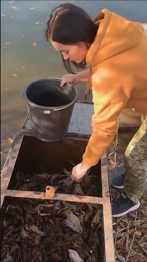 Catching crayfish in their natural habitat! | Royal LQT |