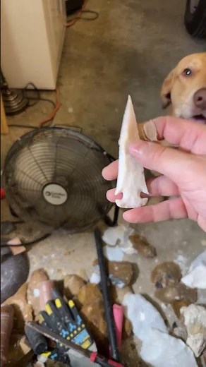 Safe to say Marshall likes it!