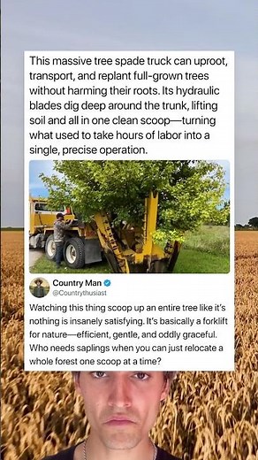 This massive tree spade truck can uproot, transport, and replant full-grown trees