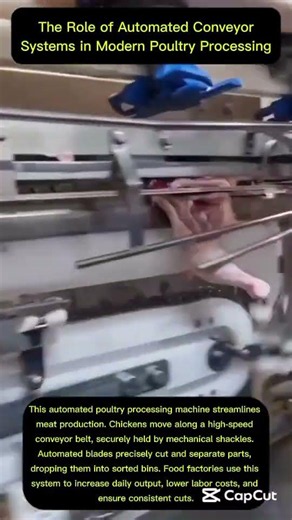 The Impact of High-Speed Assembly Lines on Global Food Supply Chains