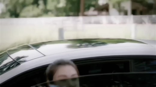 Cách trồng dương xỉ và rau muống tại nhà