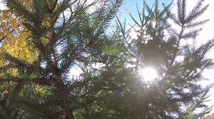 3.5K views · 52 reactions | A Michigan Engineering researcher explains why consumers need to take a “life-cycle” view when it comes to the environmental impact of the products we use in our daily lives and breaks down common misperceptions that surround the environmental impact of single-use plastics. myumi.ch/WwV2Z | University of Michigan | Facebook