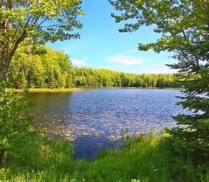 Discover WIS Hope Recovery’s mission and caring support.