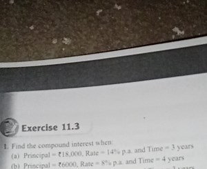 Exercise 11.3Find the compound interest when-(a) Principal = ... | Filo