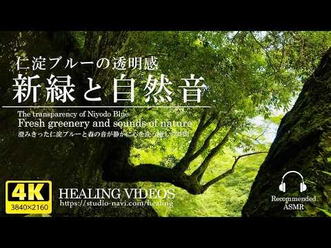 Fresh greenery and the sounds of nature / The clear Niyodo Blue and the sounds of the forest