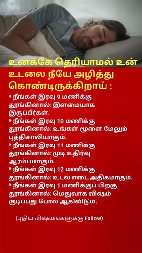 Sleep Timing Matters What Happens to Your Body at Night