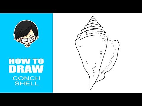 How to draw Conch Shell