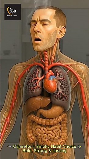Cigarette and Lychee: What Happens Inside Your Body? | Human Body Effects Explained