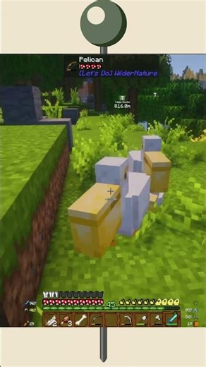 I Had to See What the Pelican Dropped…