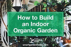 How to Build an Indoor Organic Garden - Smart Garden and Home